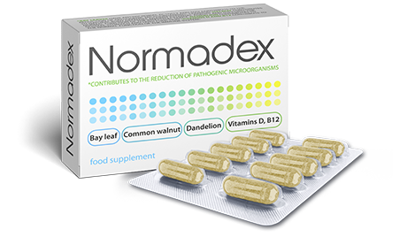 ᐉ NORMADEX Kapseln vor Parasiten im Körper – Erfahrungen, Test ...