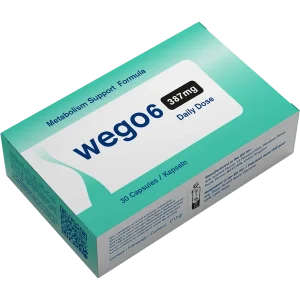 WEGO6