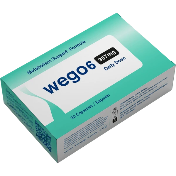 wego6 WEGO6