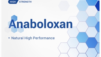 Anaboloxan Muskelaufbaukapseln – Erfahrungen, Test & Bewertung, Preis, Kaufen Apotheke