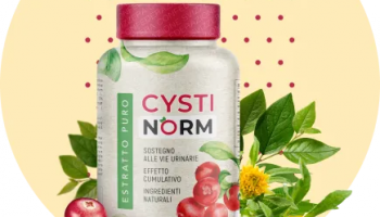 CYSTINORM Kapseln gegen Blasenentzündung – Erfahrungen, Test & Bewertung, Preis, Kaufen Apotheke