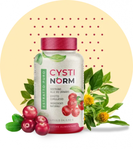 CYSTINORM Kapseln gegen Blasenentzündung – Erfahrungen, Test & Bewertung, Preis, Kaufen Apotheke