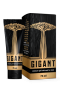 GIGANT