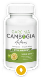 Garcinia Cambogia Actives Schlankheitskapseln – Erfahrungen, Test & Bewertung, Preis, Kaufen Apotheke