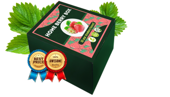 Home Berry Box – großartige Erdbeerernten direkt zu Ihnen nach Hause