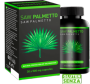 SAW PALMETTO