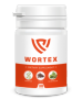 Wortex
